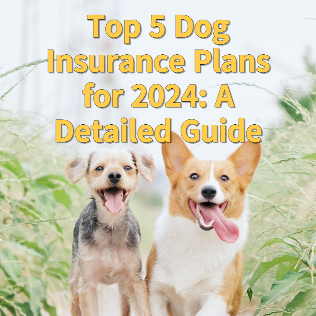 Dog Insurance